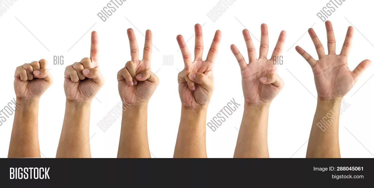 Пять рука. Рука один два три. Картинка руки и пять баллов. Пятерка рукой Уральская. Рука пятерки