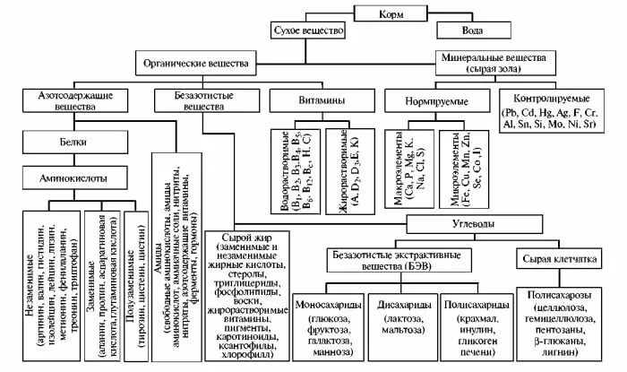 Оценка качества кормов. Схема химического состава корма. Современная схема зоотехнического состава кормов. Схема химического анализа кормов. Схема химического состава кормов животных.