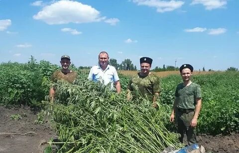 Погода красное поле