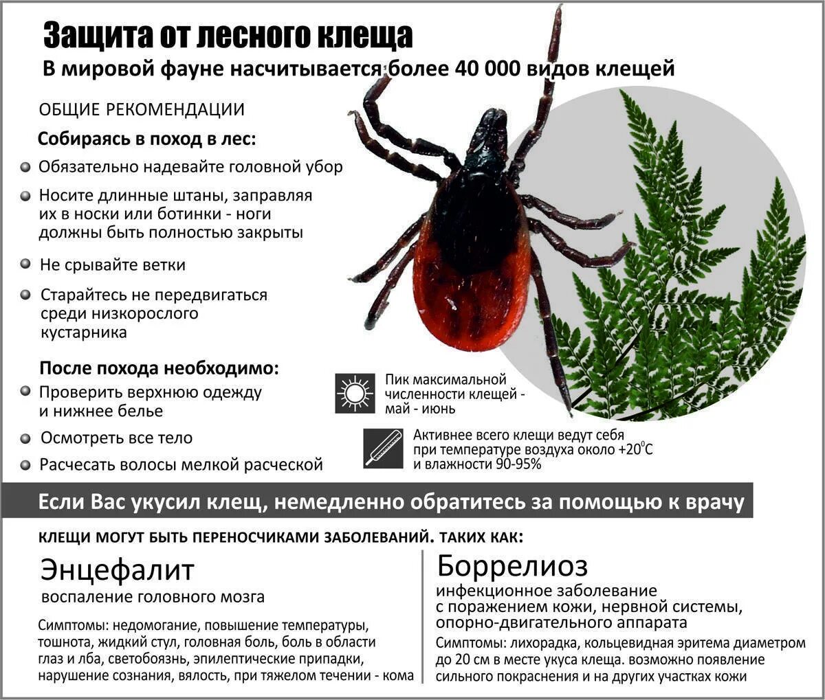 Случаев заболеваний заражения в. Клещевой энцефалит иксодовый клещ. Иксодовые клещи меры профилактики. Клещевой боррелиоз памятка.