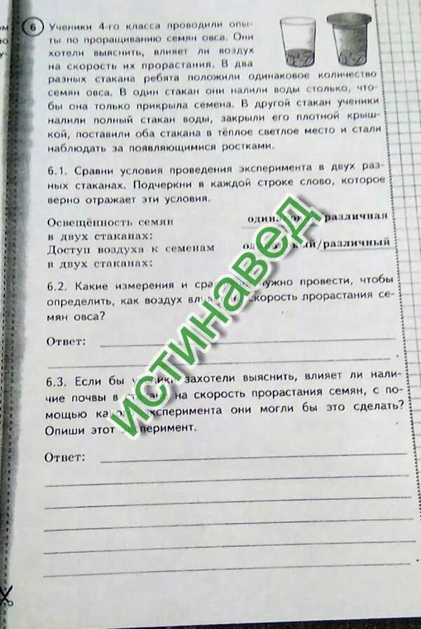 Опыты с растениями. Опыт по проращиванию семян. Ученики проводили опыты проращивания семян. Эксперимент влияние почвы в стакане на скорость прорастания семян. Эксперимент прорастания семян в двух стаканах.