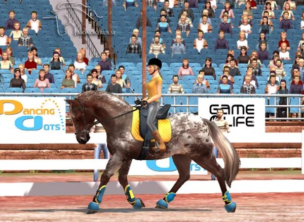 Элен игра. Ellen Whitaker's Horse Life игра. Ellen Whitaker's Horse Life (Horse Life 2). Лошадиная жизнь Элен Уитакер. Caligula's Horse 2015 - Bloom.