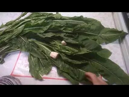Можно ли давать курам листья хрена