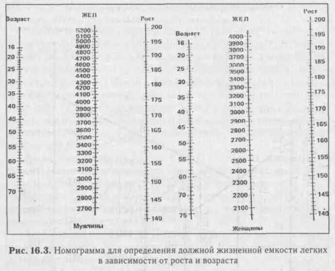 Жизненная емкость у мужчин