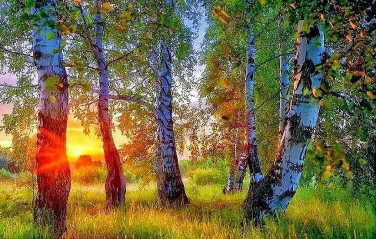 Красота русской природы. Пейзажи России. Картина природа. Красивая природа России.