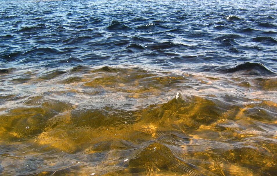 Вода в реке волга в самаре. Речная вода. Вода река Волга. Цвет воды в Волге. На Волге прозрачная вода.