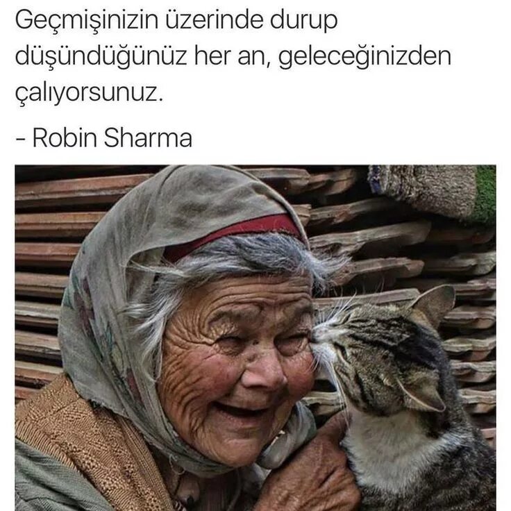 Бабка и кот. Бабушка с котом. бабушка с котиком. старый кот и бабка. старушка с котом в окне.