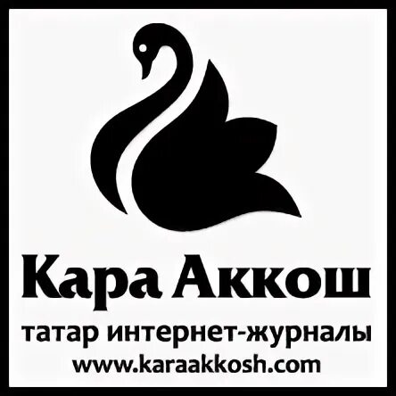 Татар интернеты. Аккош татарский. ФК аккош.