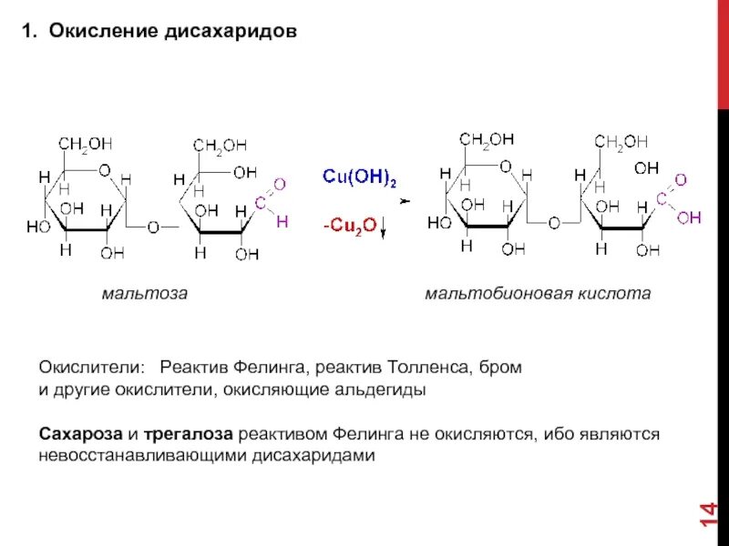Дисахаридом является глюкоза сахароза. Мальтоза и реактив Фелинга. Окисление невосстанавливающих дисахаридов мальтоза. Мальтоза и трегалоза. Окисление моносахаридов реактивом Фелинга реакция.