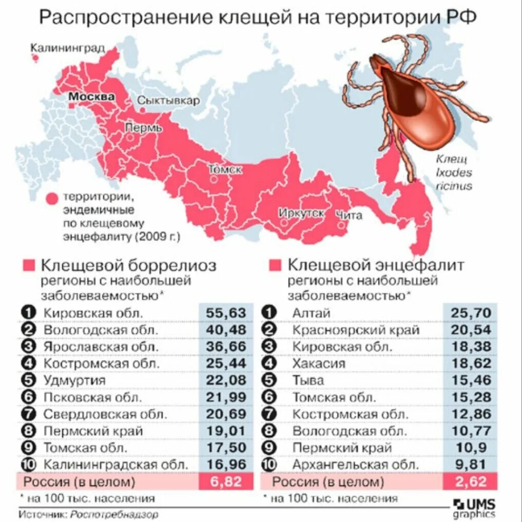 Какой процент клещей. Заболеваемость клещевым боррелиозом в России. Боррелиоз карта распространения в России. Клещевой боррелиоз распространенность. Клещевой боррелиоз распространение в России в 2021.