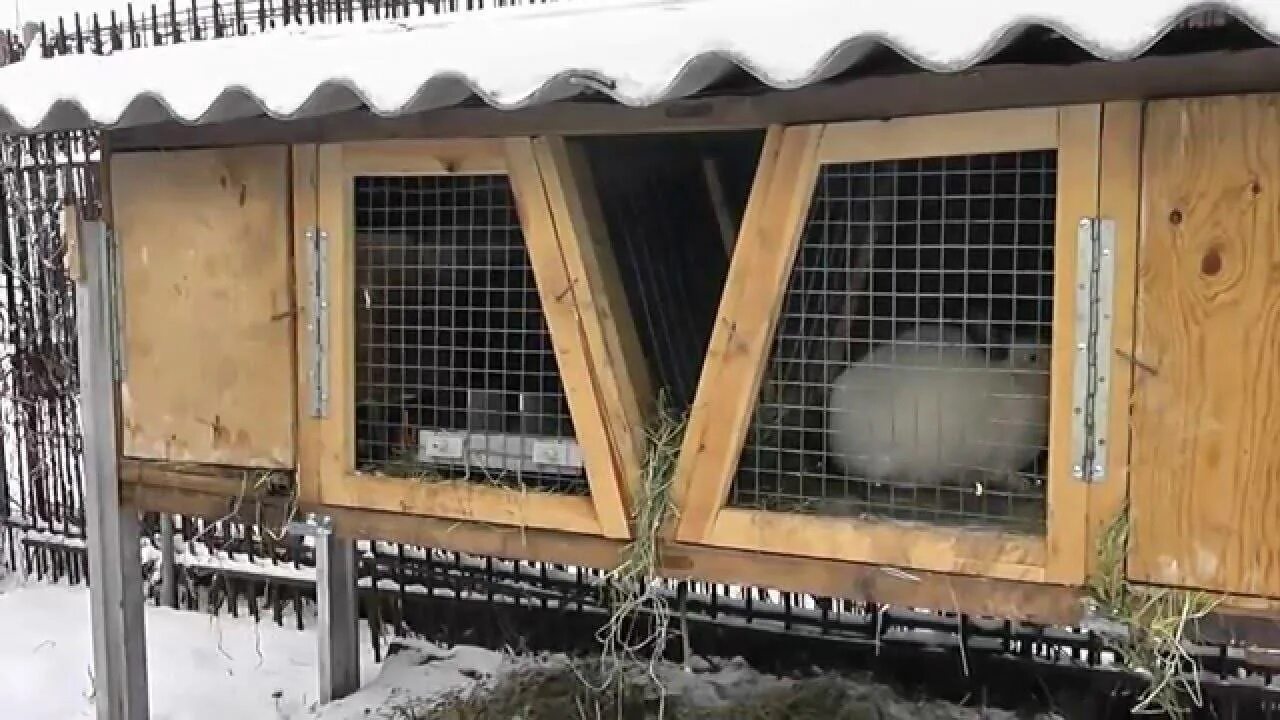 Содержание кроликов зимой на улице. Крольчатник (ферма). Вольер для кроликов зимой. Кролики зимой в клетках. Зимние клетки для кроликов на улице.