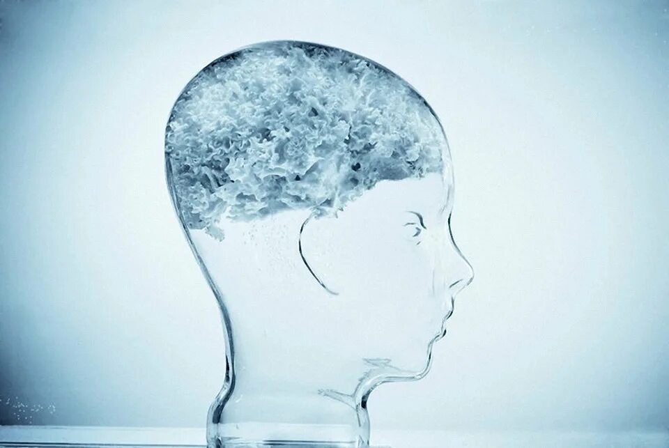 10 процентов мозга. Мозг человека состоит из воды. Мозг и вода. На 80% мозг состоит из воды.. Мозг человека из воды.