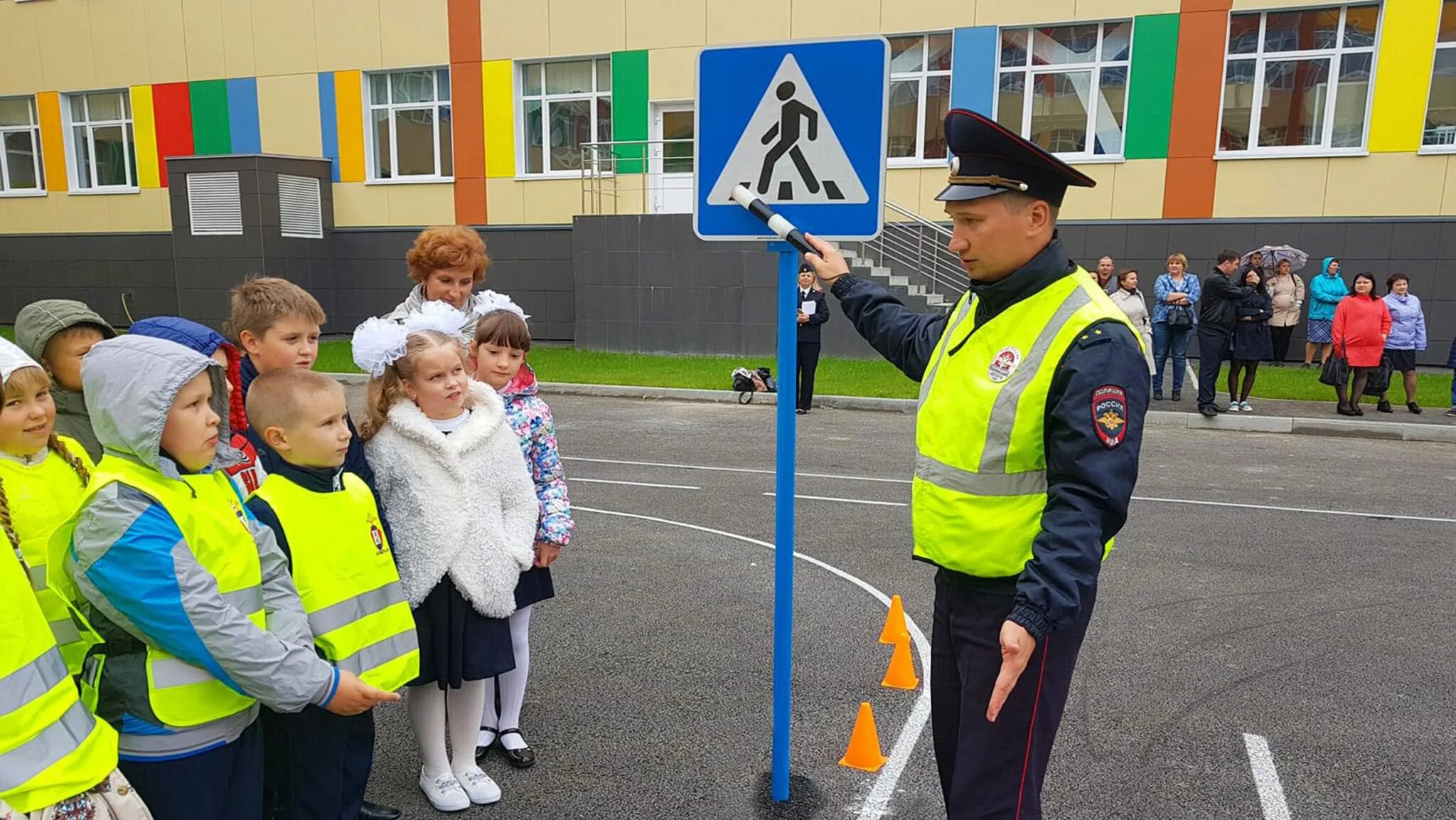 Бдд 7