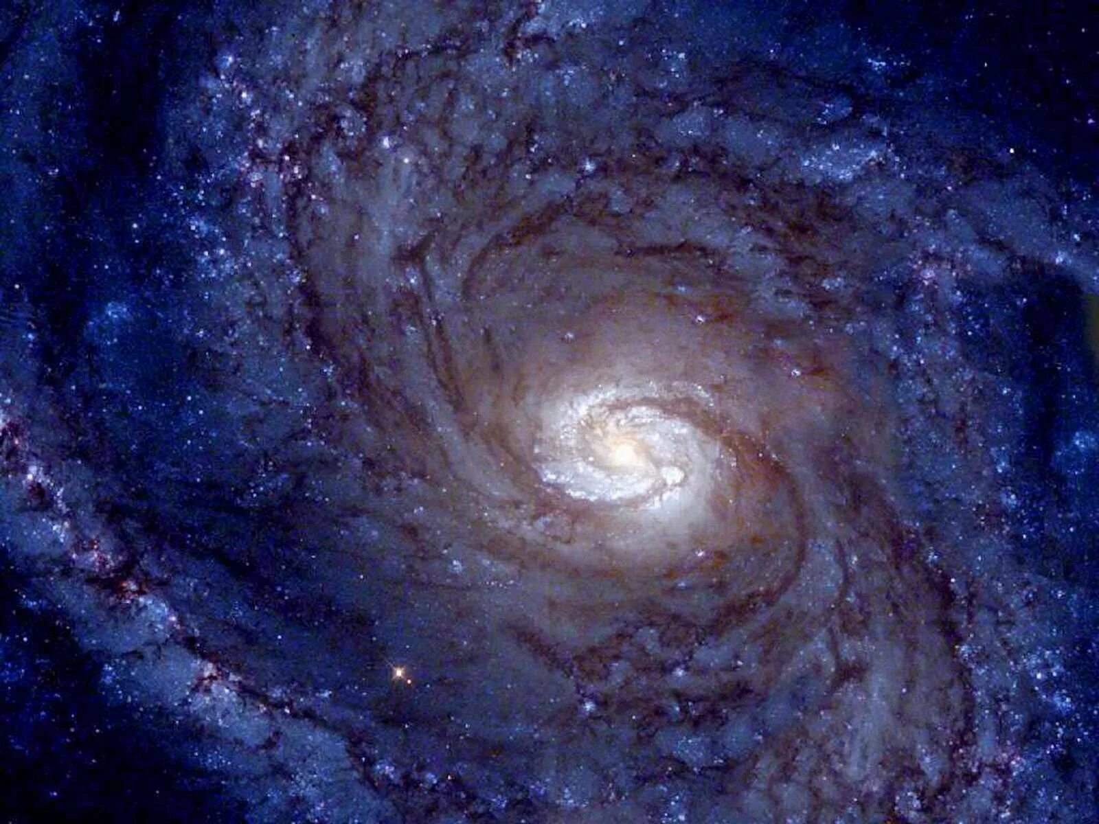 Cosmos infinity
