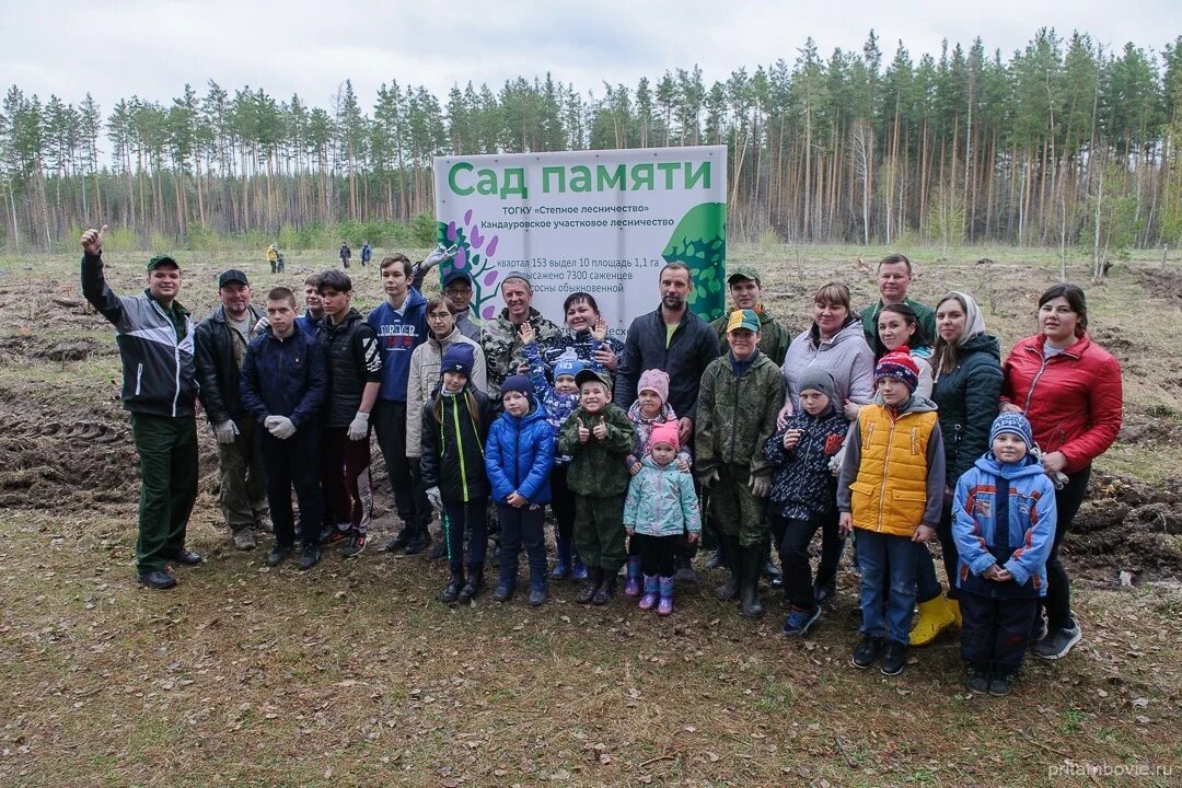 Гать свердловская область. Гать болото. Сад гать. Дорога из бревен. Сад гать.