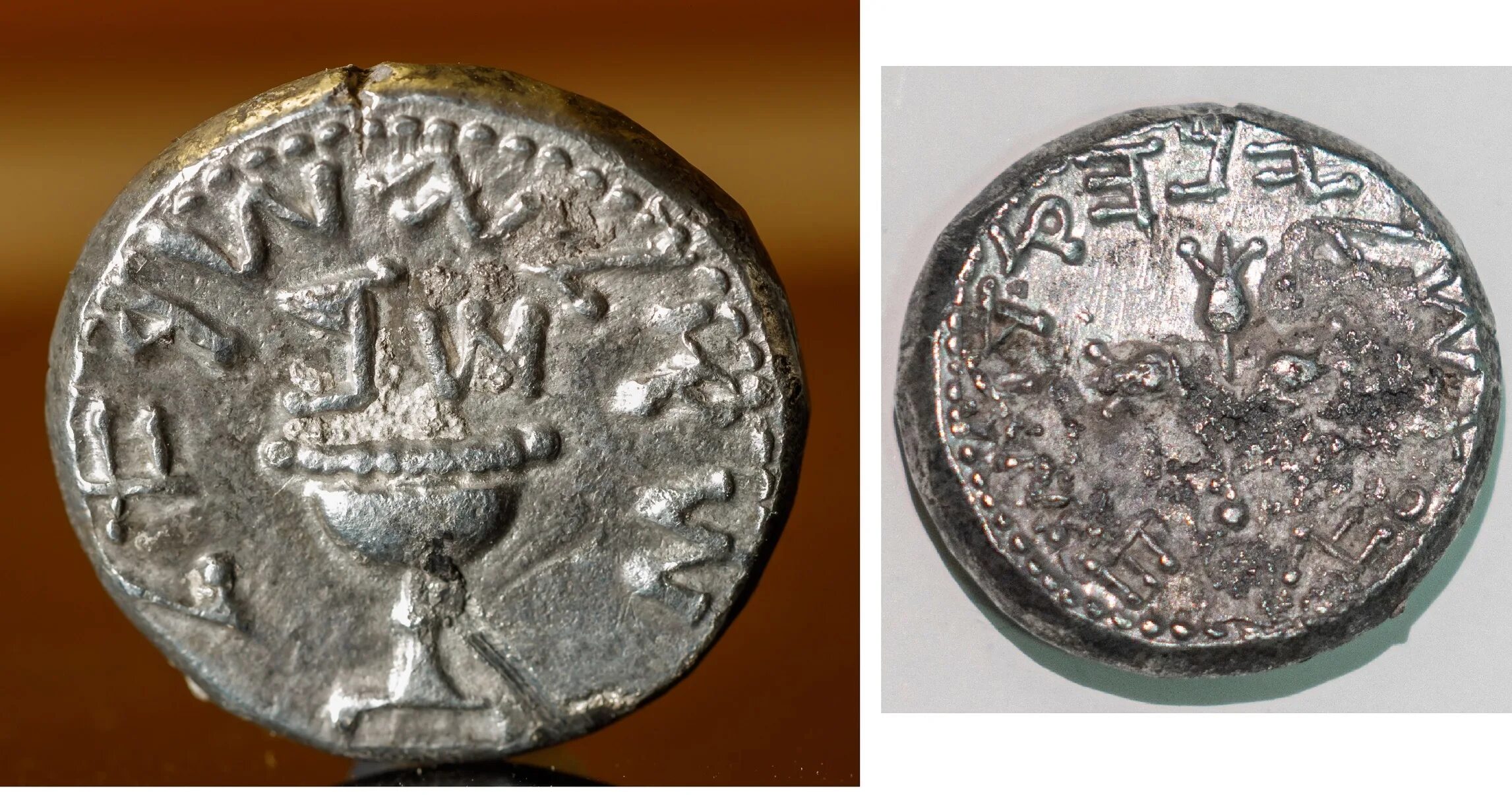 Монеты первой иудейской войны. Шекель первой иудейской войны. Шекель в Вавилоне. 25 шекелей