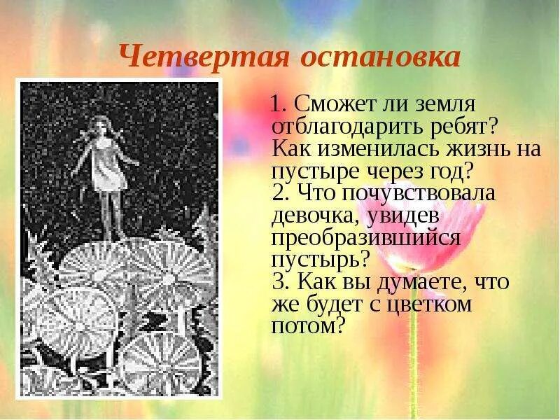 Цветок на земле вопросы по содержанию произведения. План к рассказу неизвестный цветок Платонов 6 класс. История создания сказки были неизвестный цветок. Произведение неизвестный цветок. Вопросы к произведению неизвестный цветок.