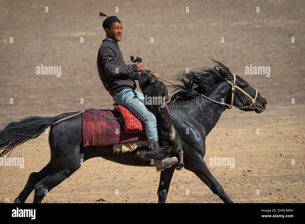 Верховая езда. Спорт хорс райдинг. Голая девка пустилась в галоп. Конкур конный спорт. Riding carry.