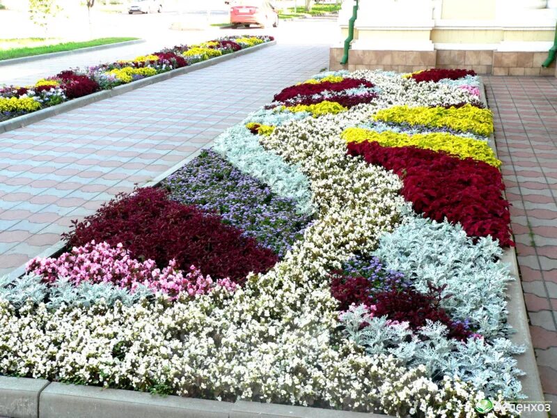 Цветник 54 новосибирск каталог. Цветник 54 новосибирск каталог