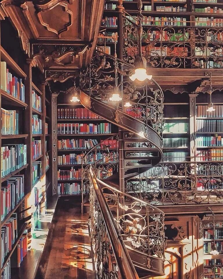 Library novel. Красивая библиотека. Старинная библиотека. Библиотека фэнтези. Библиотека арты.