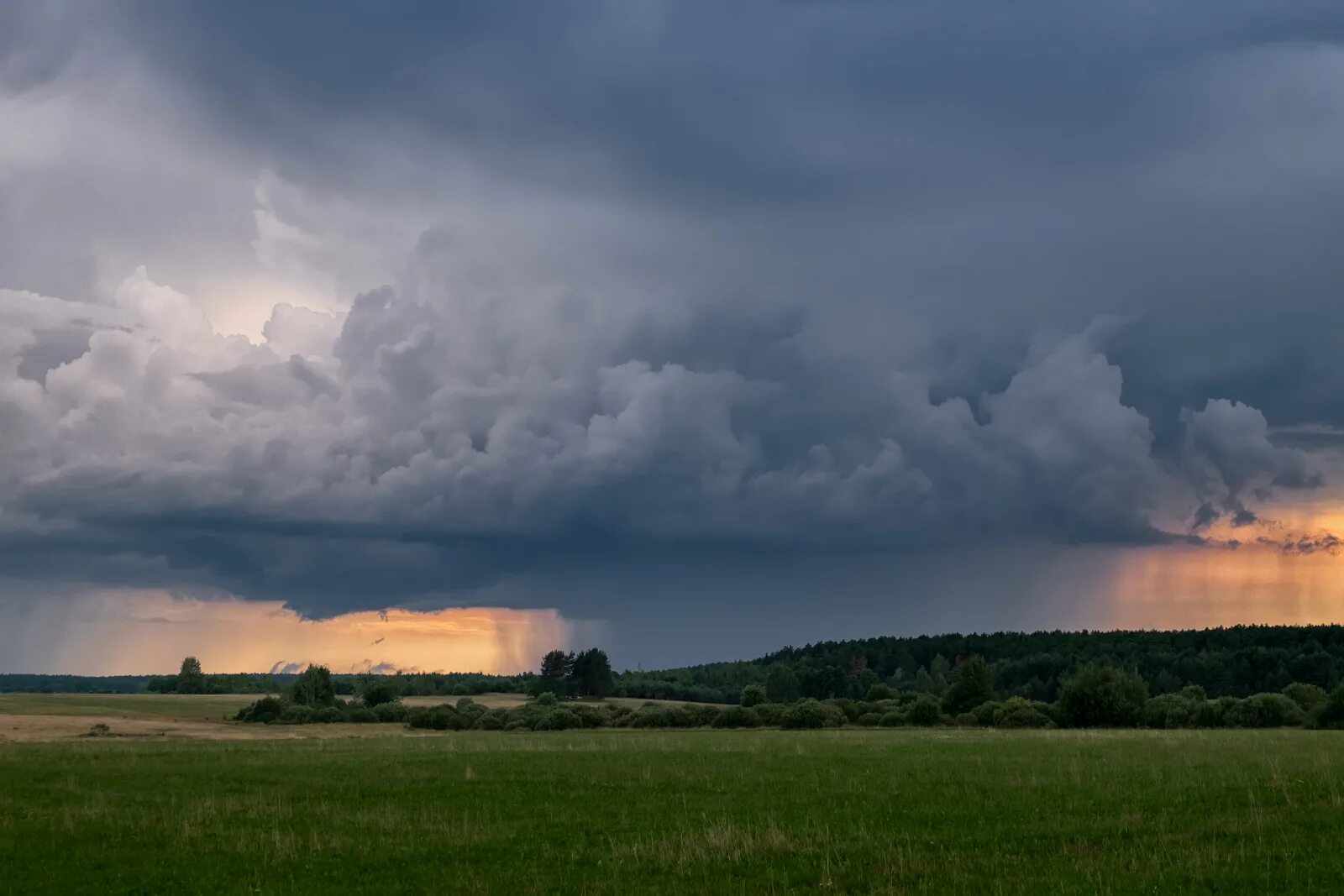 Пятачок с зонтом. Собирается ливень. Кажется дождь начинается. Пятачок кажется дождь начинается. Собирается ливень.