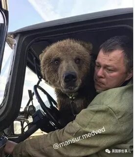 Медведем прямой эфир