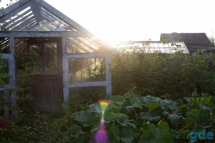 Дачная 30 самара. Самара улицы дачная 30. Дачная 30. Дачная 30. Дачная 30.