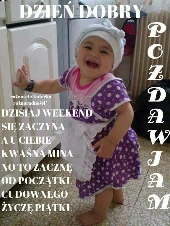 Нынче в моде. Нынче в моде похудение. а я кушаю пельмени потому красивая. нынче в моде похудение все как куры синие картинки. нынче в моде похудение все как куры синие а я.