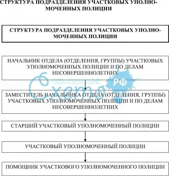 Структура подразделения УУП. Структуру подразделения участковых уполномоченных. Структура УУП И ПДН. Структура подразделения участковых уполномоченных полиции. Организация службы участковых