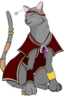 Awakened cat