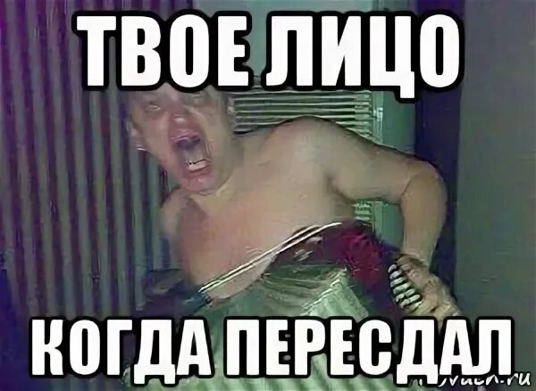 Перездать или пересдать как правильно пишется. Мем пересдашь. перездал или пересдал. перездать или пересдать экзамен. картинки поресавать.