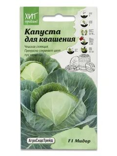 Капуста мидора сорт