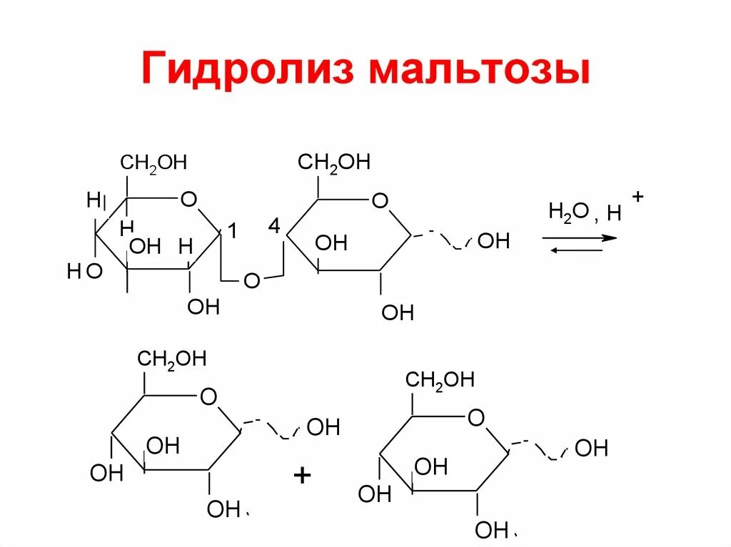 Продукт гидролиза мальтозы. Продукт гидролиза мальтозы. Гидролиз мальтозы формула. Продукт гидролиза мальтозы. Продукт гидролиза мальтозы.