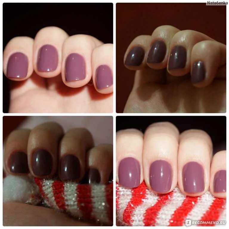 Шеллак сколько