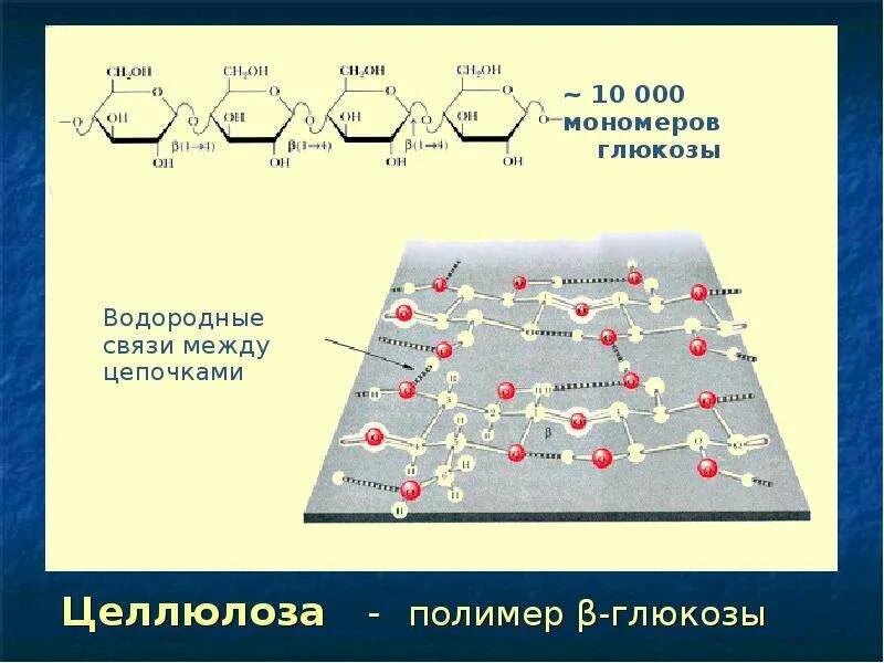 Мономер 4 формула
