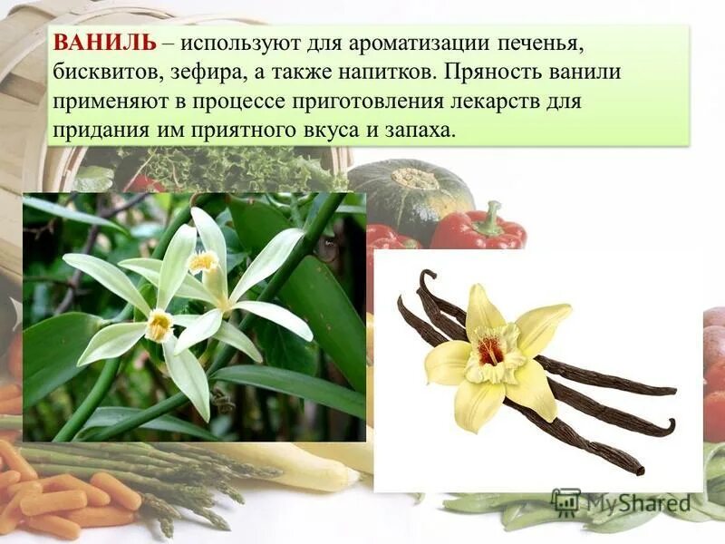 Бурбонская ваниль растение. Ваниль содержит. Ванилин характеристика. Цветок ванили. Ваниль стручковая растение.