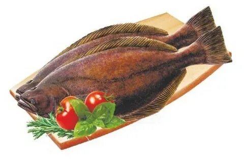 Черный палтус