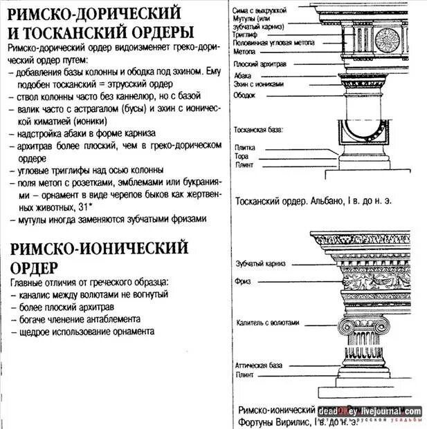 Структура ордера. Тосканский и композитный ордера. дорический ионический коринфский тосканский. триглиф дорического ордера. дорический ионический коринфский ордер в архитектуре.