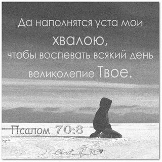 Твой всякий