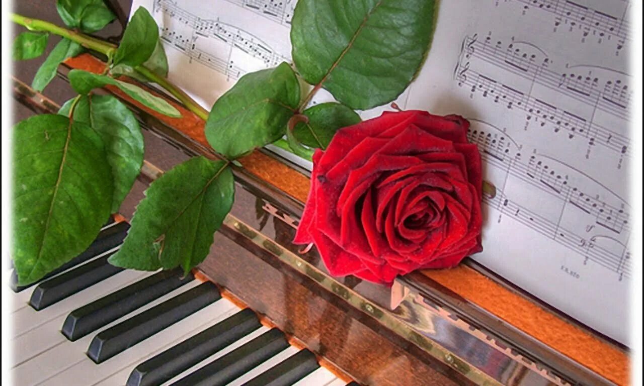 Музыка цветов мп3. Цветы для музыканта. Музыкальный цветок. Фортепиано и цветы. Цветы на рояле.