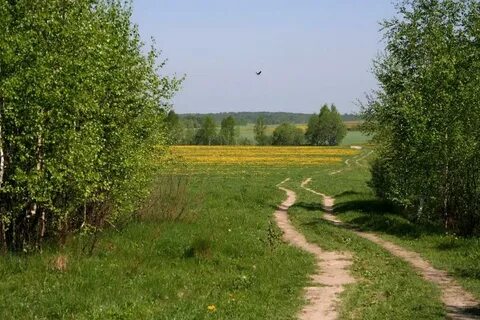 Стежки дорожки