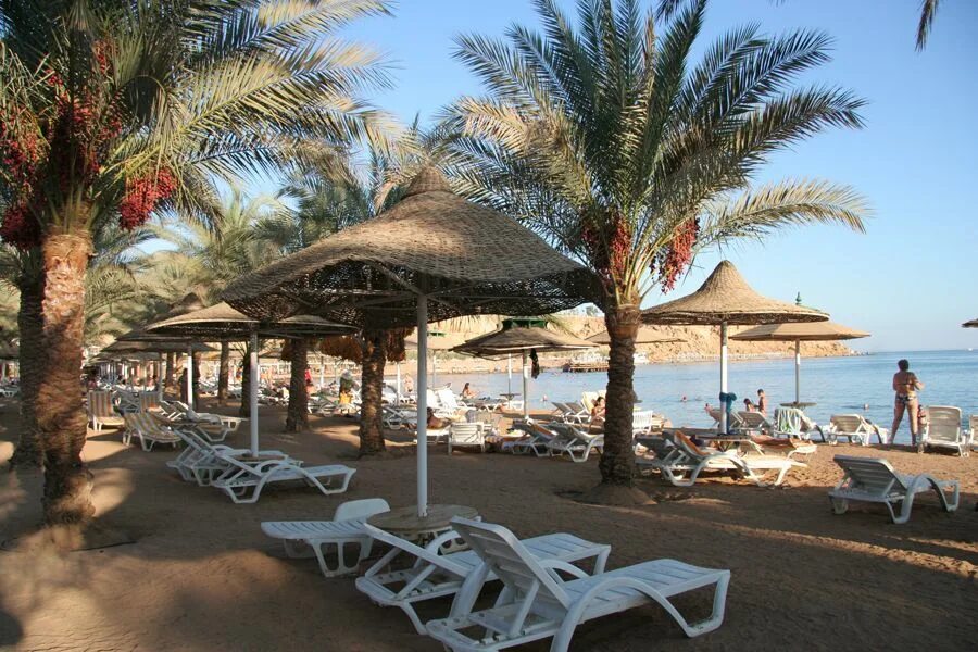 Отель Seti Sharm Шарм-Эль-Шейх. Dessole Seti Sharm Resort (Шарм-Эль-Майя). Шарм Эль Шейх отель сети Шарм Резорт 4. Cataract Layalina Resort 4.