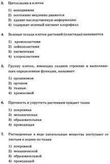 Строение клеток тест с ответами