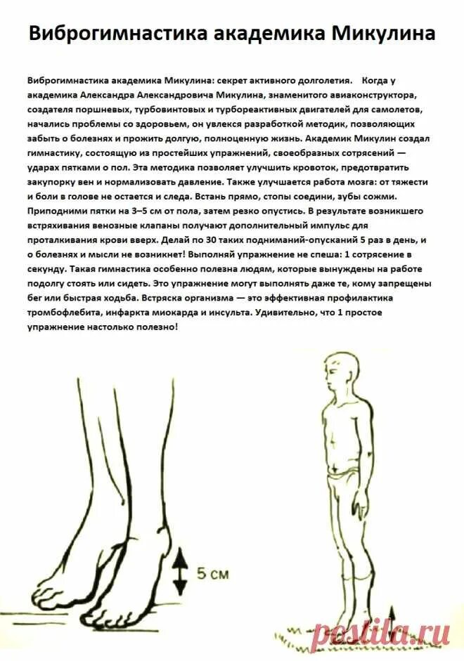 Виброгимнастика Академика Микулина. Виброгимнастика Академика Микулина секрет активного долголетия. Академик Микулин виброгимнастика. Метод Микулина виброгимнастика. Книга долголетие микулина