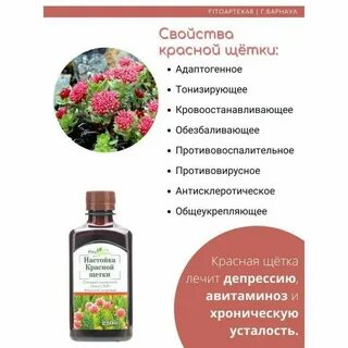 Свойства щетки