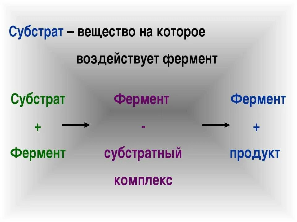 Субстрат фермента это. Комплекс фермент субстрат. Субстрат амилазы. Субстрат это в химии.