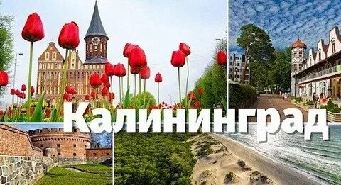 Тур в калининград июнь 2024