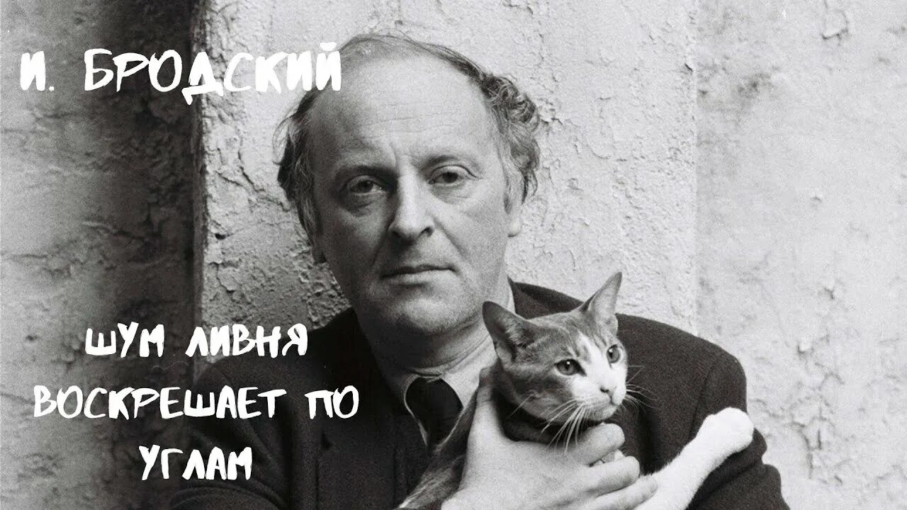 Сборник стихов бродского. Бродский ливень. Шум ливня воскрешает по углам. Бродский ливень. Бродский шум ливня воскрешает.