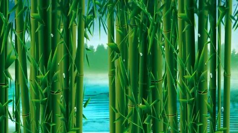 Бамбук в воде