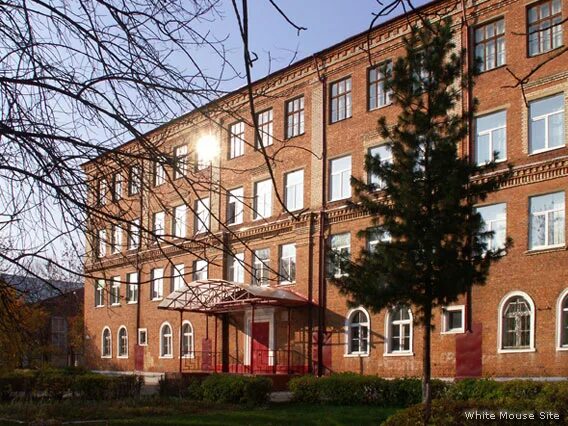 Памятник пушкину в орехово-зуево. Пушкина 12 медцентр орехово-зуево. Орехово-зуево 19 век. Школа 4 орехово-зуево. Орехово-зуево московская область памятник пушкину.
